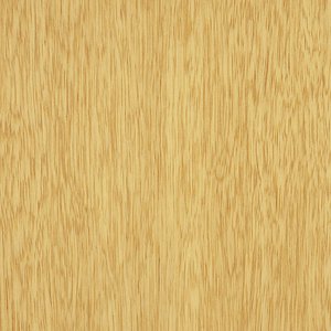 Limba