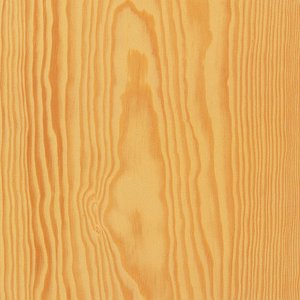 Pino pitch pine